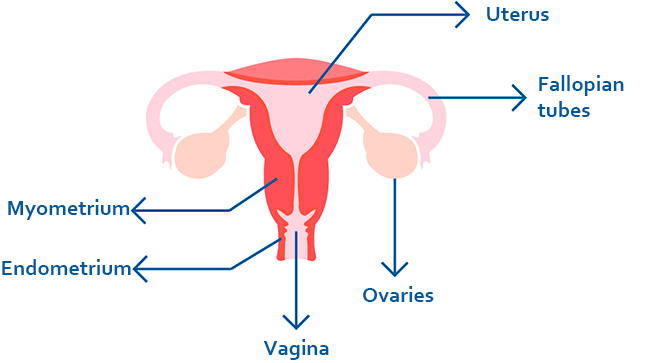 Pelvic inflammatory disease